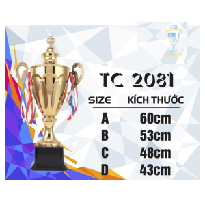 CÚP KIM LOẠI THỂ THAO 017