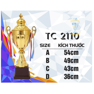 CÚP KIM LOẠI THỂ THAO 018