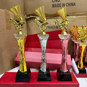 CÚP PICKLEBALL PHA LÊ KIM LOẠI