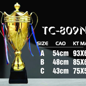 CÚP KIM LOẠI THỂ THAO 067