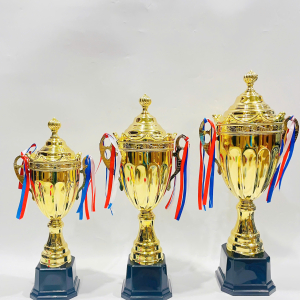 CUP KIM LOẠI THỂ THAO - 070