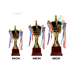 CÚP KIM LOẠI THỂ THAO 08