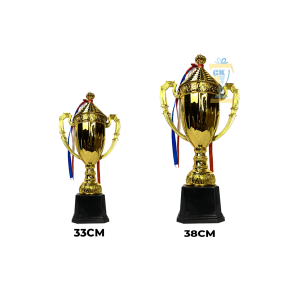 CÚP KIM LOẠI THỂ THAO 22