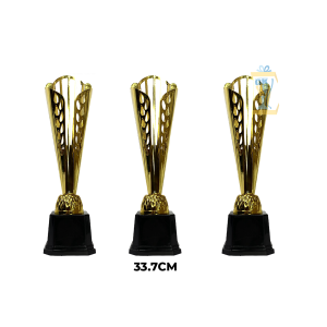 CÚP KIM LOẠI THỂ THAO 24