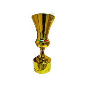 CÚP KIM LOẠI THỂ THAO 45
