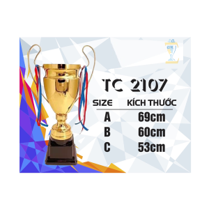CÚP KIM LOẠI THỂ THAO 47