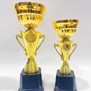 CUP KIM LOẠI THỂ THAO, CUP BÓNG ĐÁ - 071