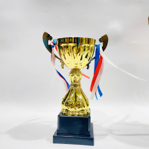 CUP KIM LOẠI THỂ THAO, CUP BÓNG ĐÁ - 072