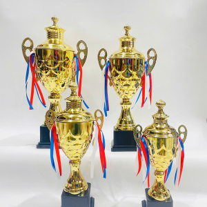 CUP KIM LOẠI THỂ THAO, CUP BÓNG ĐÁ - 073