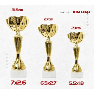 CUP KIM LOẠI - VINH DANH 
