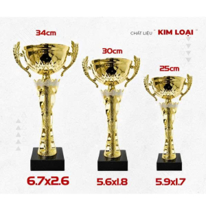 CUP KIM LOẠI - VINH DANH ĐẸP