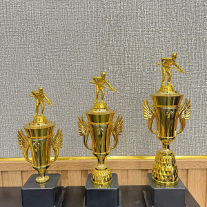 CUP KIM LOẠI - CUP THỂ THAO BIDA
