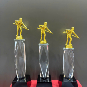 CUP PHA LÊ, KIM LOẠI - THỂ THAO BIDA