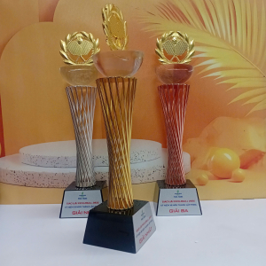 CÚP PICKLEBALL PHA LÊ KIM LOẠI
