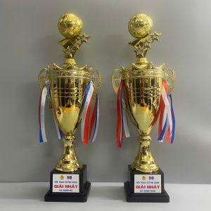 CUP THỂ THAO ĐÁ BÁNH TRAO GIẢI