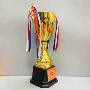 CUP TRAO GIẢI BÓNG ĐÁ