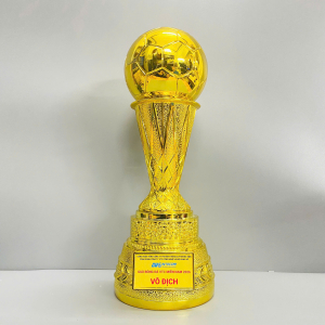 CUP TRAO GIẢI BÓNG ĐÁ VÔ ĐỊCH