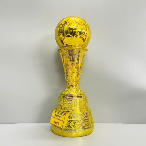 CUP TRAO GIẢI BÓNG ĐÁ VÔ ĐỊCH