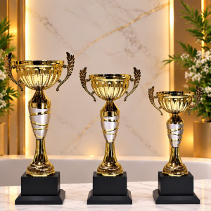 CUP TRAO GIẢI ĐẸP