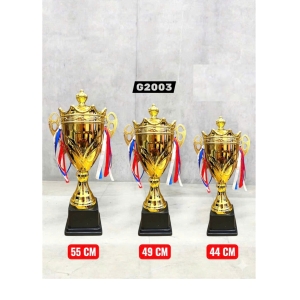 CUP TRAO THƯỞNG ĐẸP