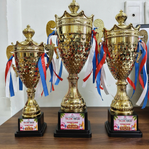 CÚP VINH DANH