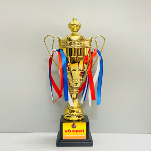CUP VÔ ĐỊCH BÓNG ĐÁ