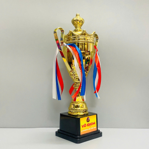 CUP VÔ ĐỊCH BÓNG ĐÁ