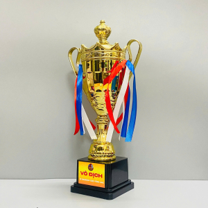 CUP VÔ ĐỊCH BÓNG ĐÁ