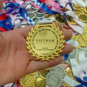 HUY CHƯƠNG BOXING CÁC ĐỘI MẠNH TOÀN QUỐC