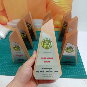 Kỷ niệm chương gỗ phối kim loại chạy bộ 
