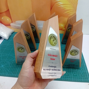 Kỷ niệm chương gỗ phối kim loại chạy bộ 