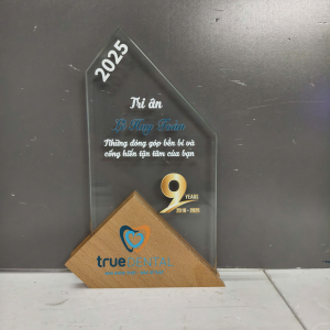 Kỷ niệm chương gỗ phối pha lê 