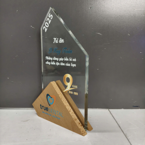 Kỷ niệm chương gỗ phối pha lê 