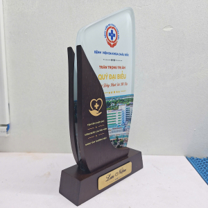 Kỷ niệm chương gỗ phối pha lê bệnh viện