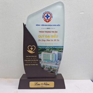 Kỷ niệm chương gỗ phối pha lê bệnh viện