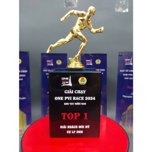 Kỷ niệm chương hình người chạy bộ PVI