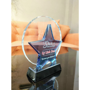 KỶ NIỆM CHƯƠNG NGÔI SAO