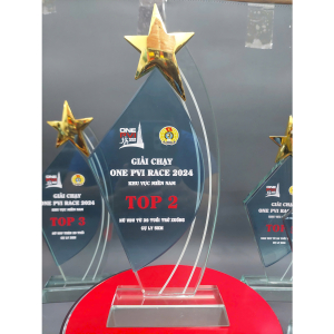 KỶ NIỆM CHƯƠNG NGÔI SAO KIM LOẠI - 2 LỚP PHA LÊ XANH