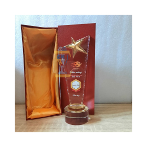 SẢN XUẤT KỶ NIỆM CHƯƠNG CÚP PHA LÊ SAO NGUYÊN KHỐI 