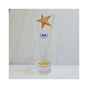 SẢN XUẤT KỶ NIỆM CHƯƠNG CÚP PHA LÊ SAO NGUYÊN KHỐI 