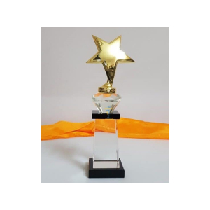 SẢN XUẤT KỶ NIỆM CHƯƠNG PHA LÊ SAO ĐƠN