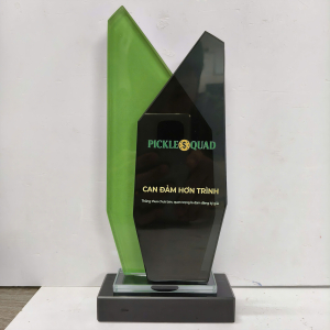 Kỷ niệm chương pha lê 2 lớp 