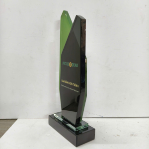 Kỷ niệm chương pha lê 2 lớp 