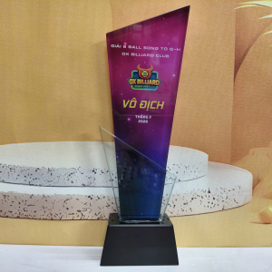 Kỷ niệm chương pha lê 2 lớp 