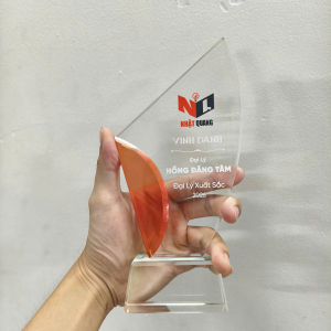 Kỷ niệm chương pha lê 2 lớp