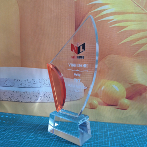 Kỷ niệm chương pha lê 2 lớp
