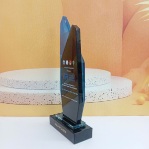 Kỷ niệm chương pha lê 2 lớp vinh danh đẹp