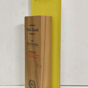 Kỷ niệm chương pha lê gổ Mikiri