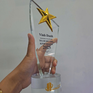 Kỷ niệm chương pha lê ngôi sao vàng vinh danh cao cấp