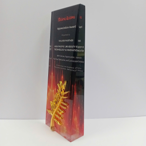 Kỷ niệm chương pha lê nguyên khối chữ nhật